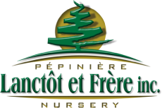 Les Entreprises Everi